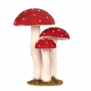 Mushrooms - 31cm